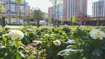 Kayseri Talas’ta rengarenk meydan