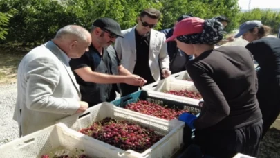 Kayseri Yahyalı’dan dünyaya kiraz ihracatı