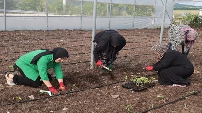 Kocaeli Büyükşehir’den kadın girişimcilere tarımsal destek