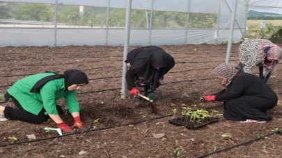 Kocaeli’den kadın girişimcilere tarımsal destek... Ata tohumları toprakla buluşturuldu