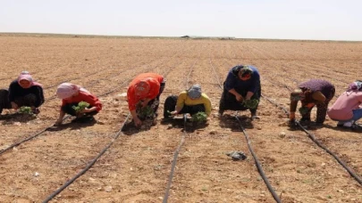 Konya 2024’ün tarımsal destek kayıtlarını başlattı