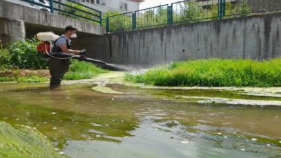 Kütahya genelinde ilaçlama sürüyor