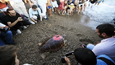 Lara Barut Collection’ın destekleri ile denizle buluşan Caretta Caretta, bir yılda 3000 km yol katetti