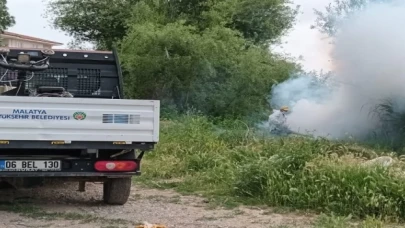 Malatya’da ilaçlama çalışmaları sürüyor