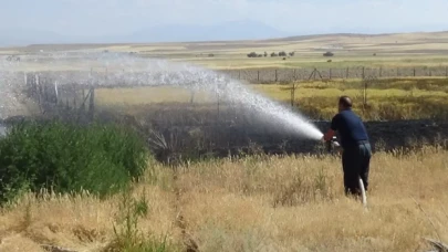 Mangal isteği tarlasından etti