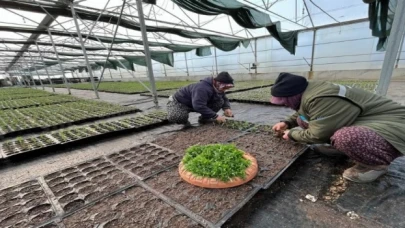 Manisa kendi serasından üretiyor