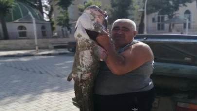 Meriç Nehri’nde boyunca balık yakaladı!