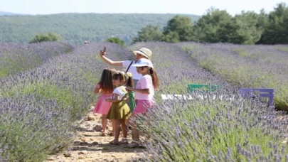 Muğla’da Lavanta Bahçesi’ne ziyaretçi akını