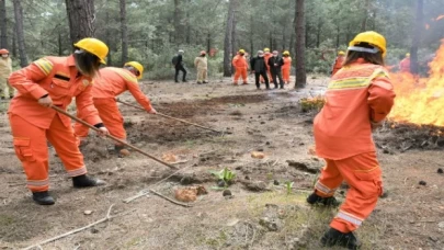 Orman yangınları yüzde 90 insan kaynaklı!