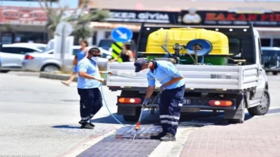 Sivrisineğin nedeni küresel iklim krizi mi?