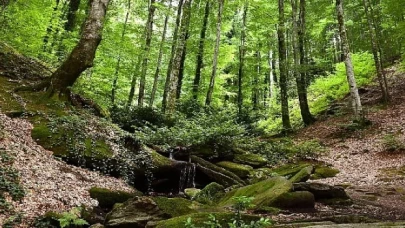 Suuçtu Şelalesi ziyaretçi akınına uğradı