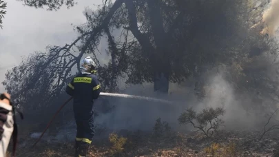 Yunanistan'da son 24 saatte 46 orman yangını çıktı