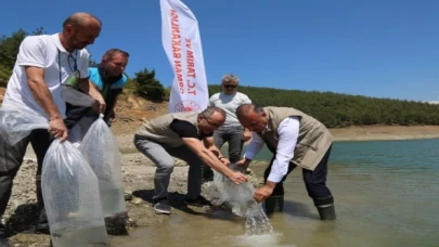 Bursa’da 5 bin yayın balığı Demirtaş’a bırakıldı