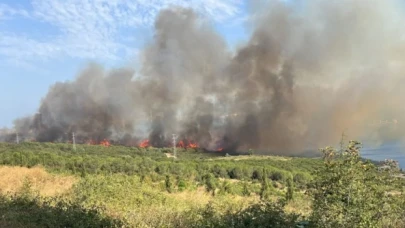 Gebze'deki TÜBİTAK'ta bulunan ormanlık alanda yangın çıktı