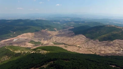 Gündemde Akbelen varken Kaz Dağları’nda kıyıma başlandı