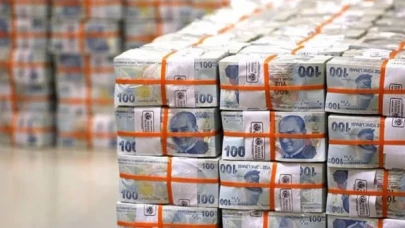 Hazine yaklaşık 44 milyar lira borçlandı