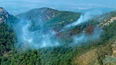 İzmir’de orman yangını