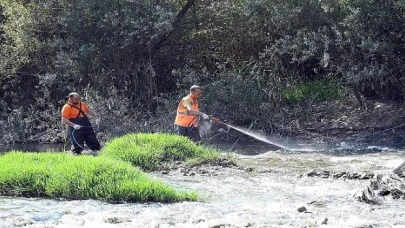 Karabük Belediyesi Sivrisinekle Mücadele Çalışmalarına Devam Ediyor