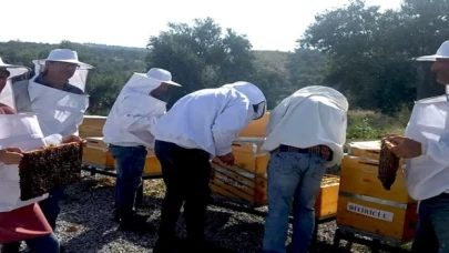 Manisa’da arıcılık eğitiminde yeni dönem