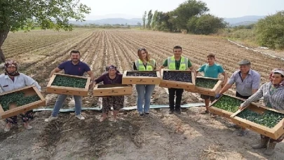 Milas Belediyesi üretiyor, üretimi destekliyor