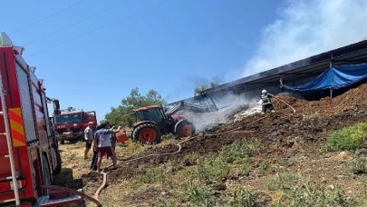 Muğla Büyükşehir Acil Müdahale Aracı ile Yangından Etkilenen Hayvanlara Müdahale