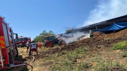 Muğla’da yangından etkilenen hayvanlara müdahale