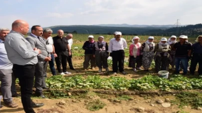 Tarım işçisinin koruyucu ekipmanları Manisa’dan