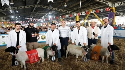 Türkiye’nin En Kapsamlı Küçükbaş Hayvancılık Festivali İçin Geri Sayım Başladı