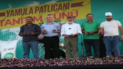 Yamula Patlıcanı Festivali 10 binleri ağırladı