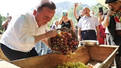 Antalya Gastronomi Festivali’nin İkinci Gününde Mor Üzüm Hasadı