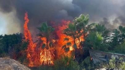 Antalya'da teknede çıkan yangın ormana sıçradı