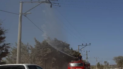 Bandırma’da elektrik hatlarında itfaiye destekli temizlik