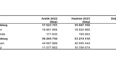 Büyükbaş hayvan sayısı 2023 yılı Haziran ayında 16 milyon 688 bin baş oldu