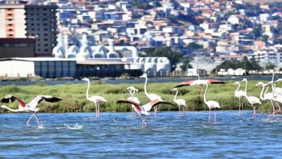 Doğaseverler İzmir’de bu festivali bekliyor