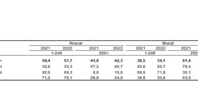 İhracatın yüzde 42,3’ünü, ithalatın ise yüzde 60,9’unu büyük ölçekli girişimler gerçekleştirdi