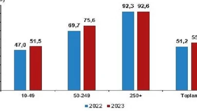 İnternet erişimine sahip girişimlerin oranı yüzde 96,0 oldu