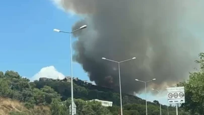 Maltepe'de orman yangını