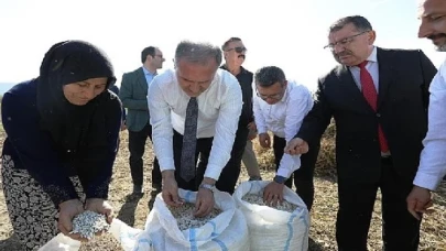 Tarladan Sofraya; Cerrah Kuru Fasulyesi