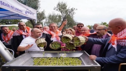 Ayvalık’ta Hasat Festivali’nde zeytinyağı sıkım keyfi