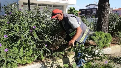 Burhaniye’nin Parklarında Yaz Sonu Bakımı Yapılıyor