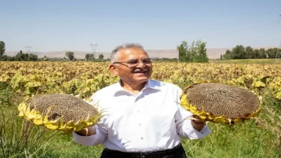 Kayseri Büyükşehir’den ay çekirdeği kurutma sahası