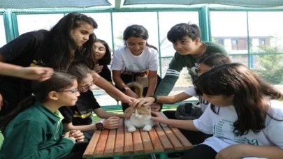 Kayseri Kocasinan’da Kedi Kasabası’na yoğun ilgi