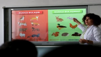 Kuduz tehlikesinden uzaklaştıracak altın kurallar