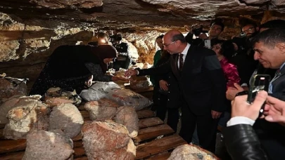 Peynir Tulumundan İlk Hasat Programı Gerçekleştirildi