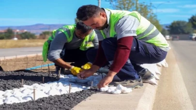 Su krizine karşı kuru peyzaj çözümü