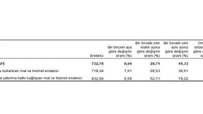 Tarımsal girdi fiyat endeksi (Tarım-GFE) yıllık yüzde 41,33, aylık yüzde 6,94 arttı