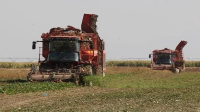 Üretici ortağa 181 milyon TL pancar söküm avansı