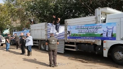 Aydın büyükşehir belediyesi’nden selden etkilenen üreticiye yem desteği