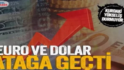 Dolar yükselecek mi? Türk lirası değerlenecek mi?