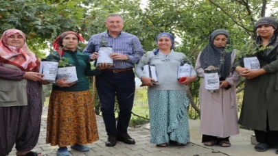 Hatay’da 700 aileye daha fidan desteği